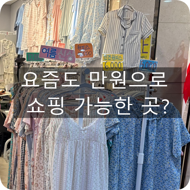 서울고속터미널 지하상가 쇼핑 후기, 남대문보다 더 저렴했던 득템 리스트