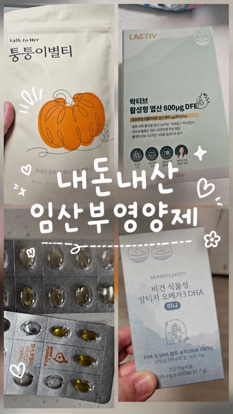 [내돈내산]직접 먹고 추천하는 임신초기 필수영양제♡