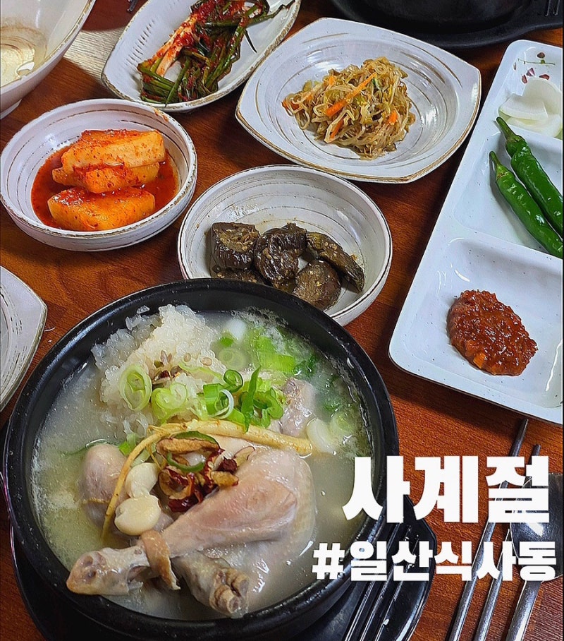일산 식사동 맛집 인생 삼계탕 깊고 진한 삼계탕 사계절 솔직 후기