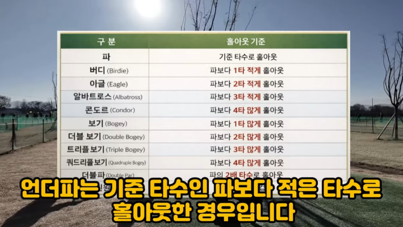 파크골프 용어·기본상식·규칙 한 번에 정리초보 필수 가이드