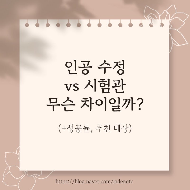 인공 수정 vs 시험관 차이 (+성공률, 추천 대상) ｜시험관을 선택한 이유