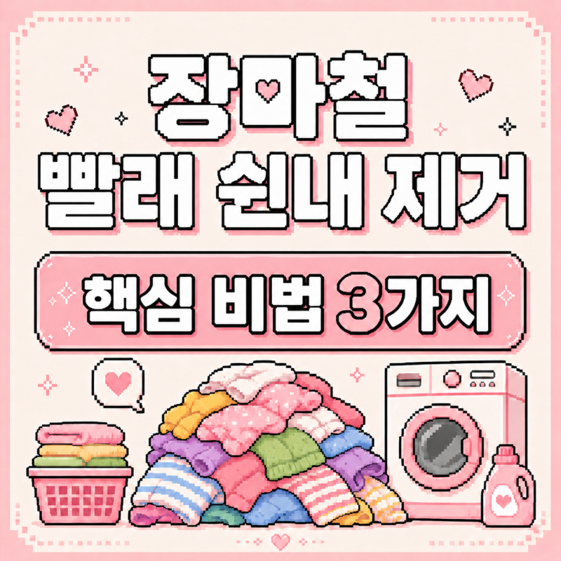 장마철 빨래 쉰내 제거, 세탁 전문가가 알려주는 핵심 비법 3가지