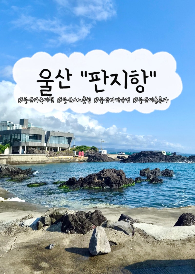 울산 물놀이 판지항 스노클링 명소 / 솔직 후기