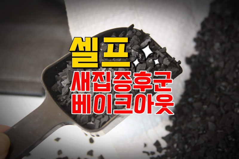 방분탄으로 새 아파트 셀프 베이크아웃 새집증후군 제거 방법