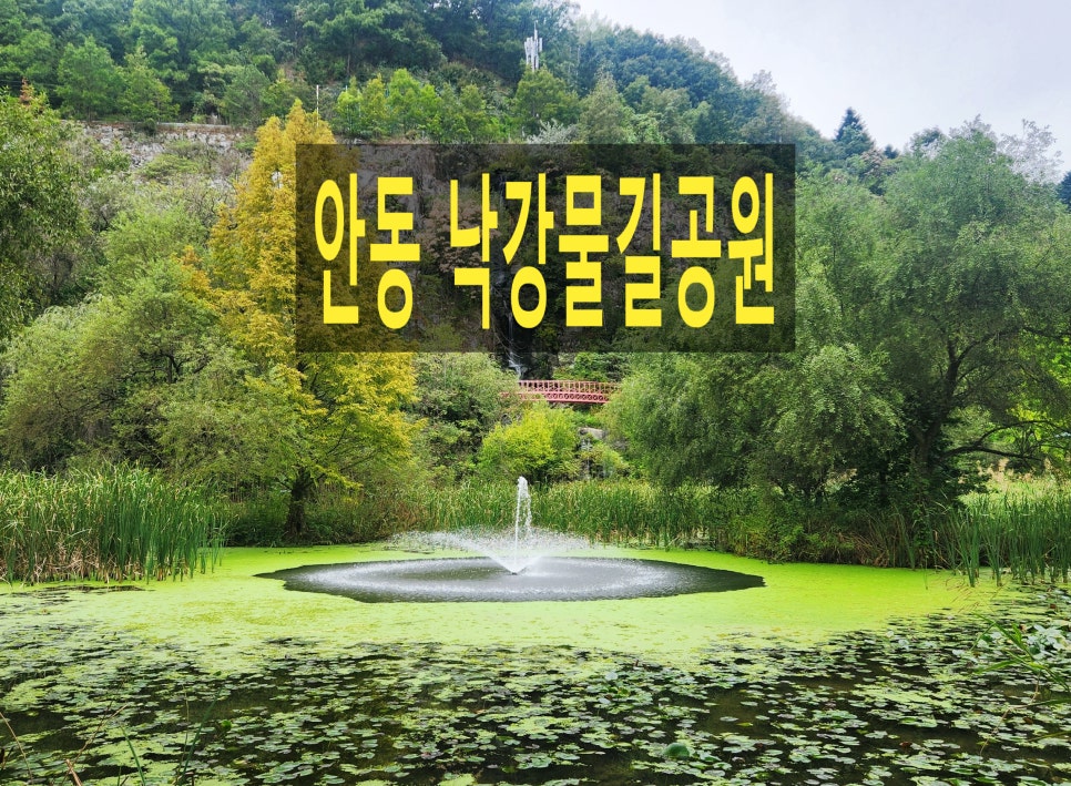 산책 사진 1