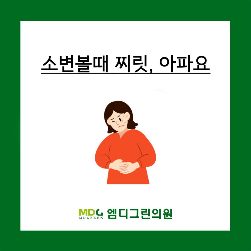 소변볼때 찌릿, 아파요｜방광염 증상과 여름철 요로감염