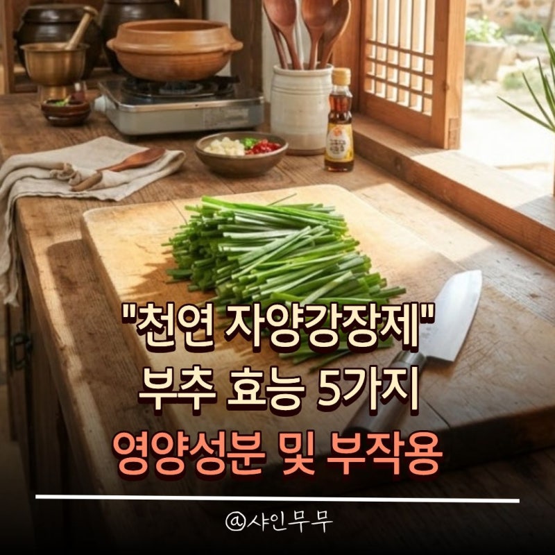 "천연 자양강장제" 부추 효능 5가지와 영양 성분 및 부작용