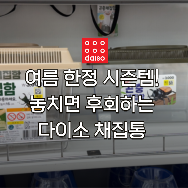 다이소 채집통, 이거 안 사고 여름방학 보내면 반은 손해