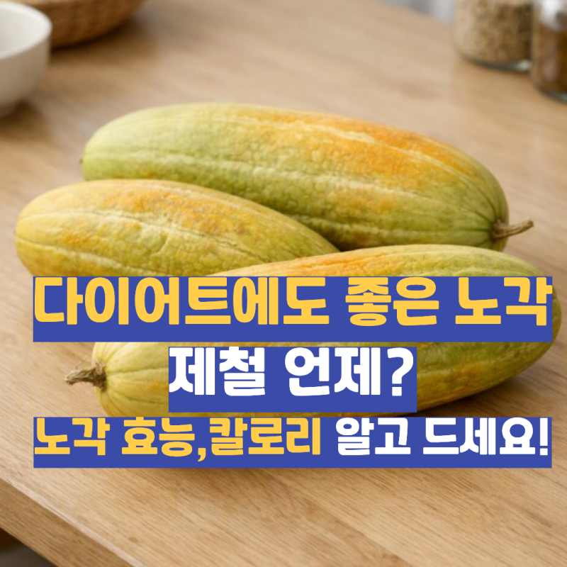 노각 효능, 제철 언제일까? 늙은 오이 노각 칼로리와 먹는법