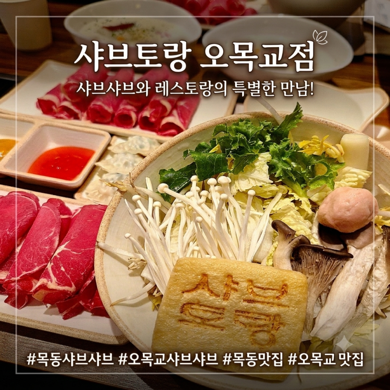 목동 맛집 | 7,900원의 행복! 류수영이 추천한 샤브토랑 오목교 샤브샤브 맛집 후기