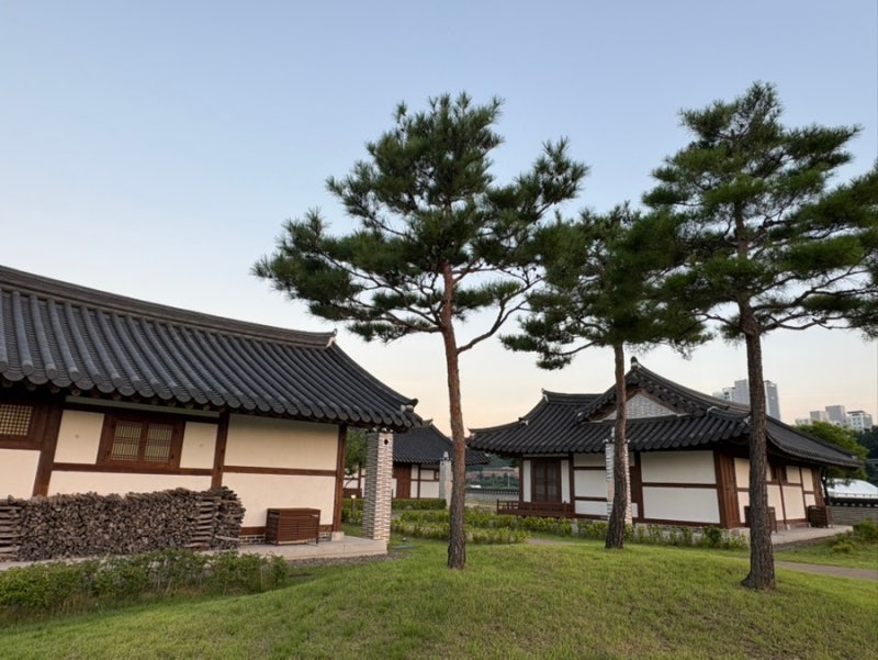 오죽헌마을 완전정복 — 강원도 갈 때마다 여기부터 예약하는 이유