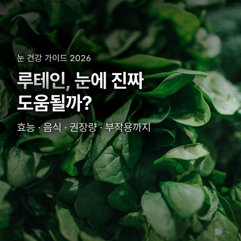 루테인 효능, 하루 얼마나? 음식·권장량·부작용