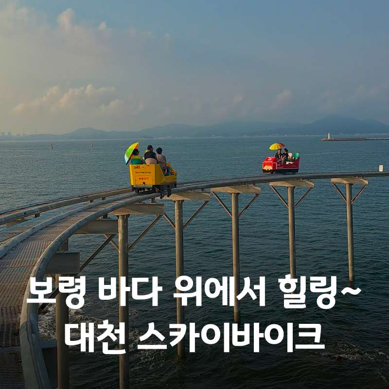 보령가볼만한곳 대천 스카이바이크 예약 주차 현장예매 후기
