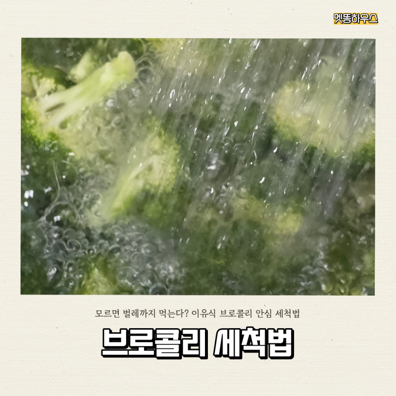 이유식 브로콜리 세척법｜이물질 제거부터 손질, 냉동보관까지