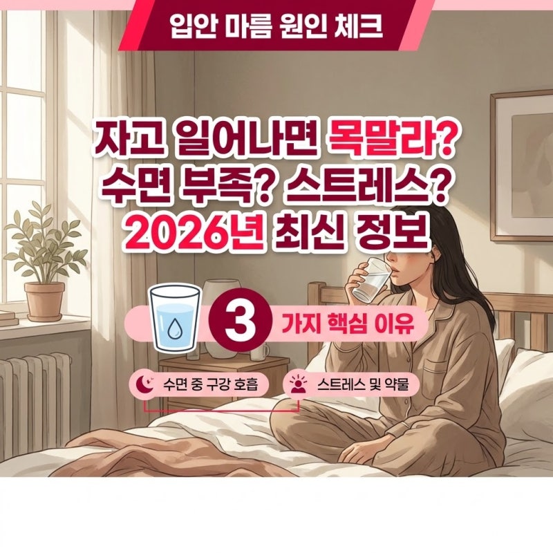 입안 마름 원인 평소 놓치기 쉬운 일상 속 체크리스트