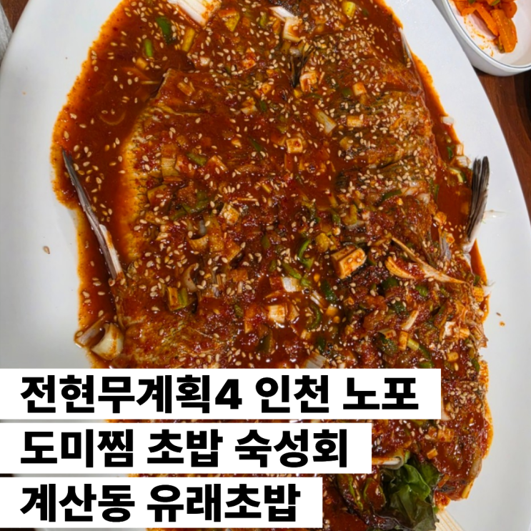 <b>전현무계획4</b> 인천 노포 도미찜 초밥 숙성회 계산동 유래초밥