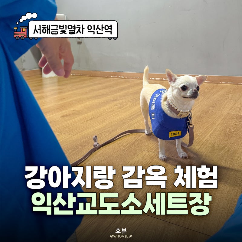 익산교도소세트장 가는법 강아지 죄수복 대여 시티투어 정보 총정리