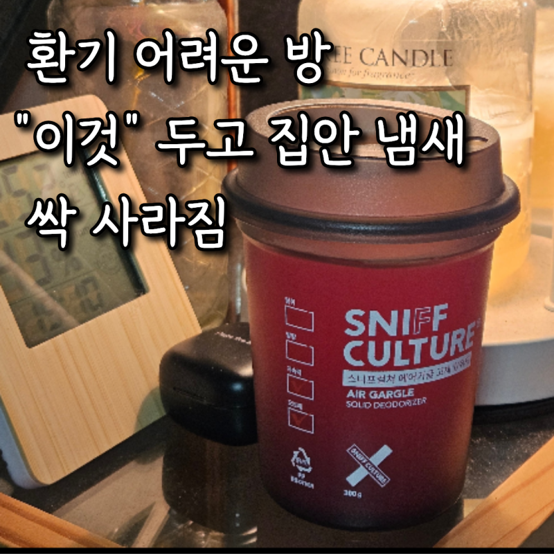 환기 어려운 장소 실내 탈취제 추천, "이 방법"으로 집안 냄새 고민 사라졌어요