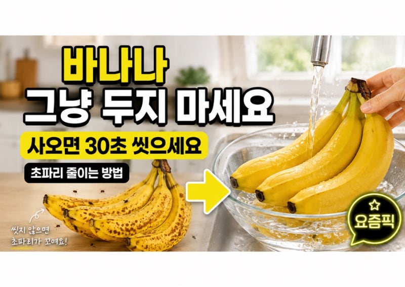 바나나 사오면 바로 씻어야 하는 이유, 초파리 줄이는 30초 방법