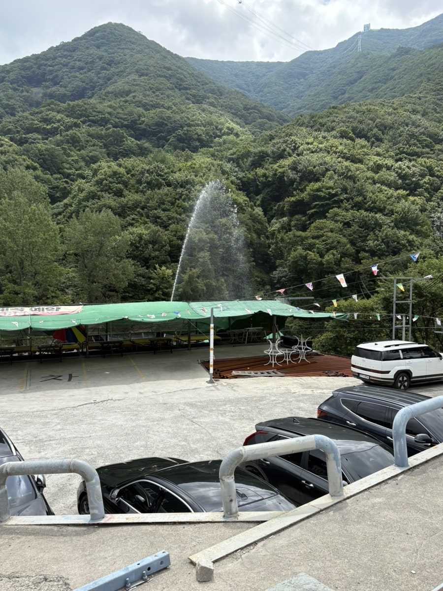 압구정 사진 5