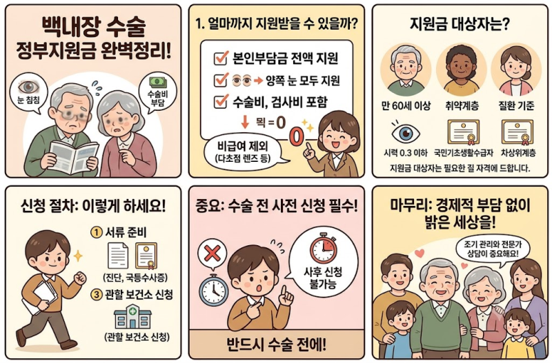 백내장 수술 정부지원금 총정리: 얼마까지 지원받을 수 있을까?
