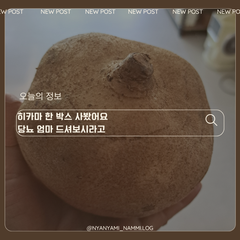 히카마 감자인 줄 알았는데 아니었습니다 요즘 건강한 사람들이 찾는 이유
