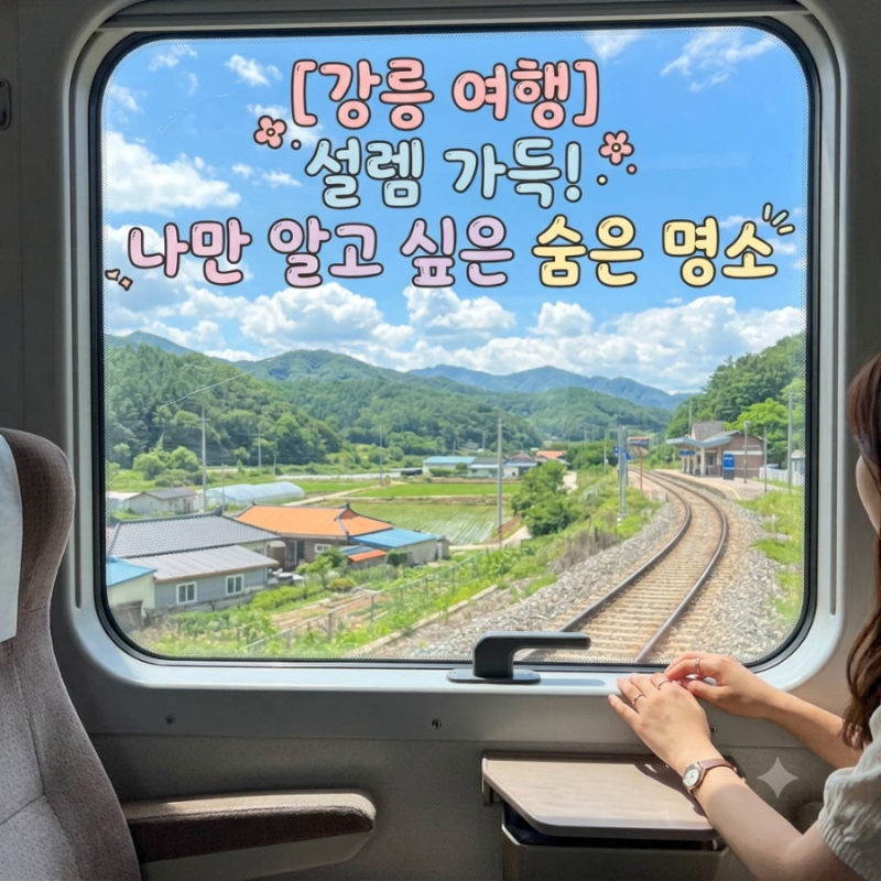 [강릉 여행] 나만 알고 싶은 숨은 코스 3곳: 대관령 옛길, 중앙시장 노포 '감자바우', 명주동 ....