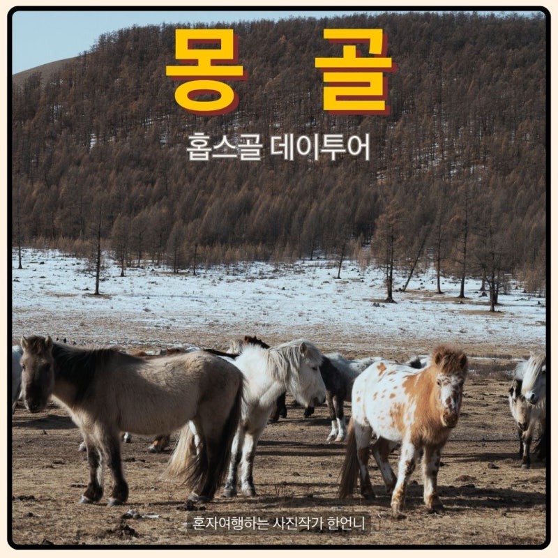 여자 혼자 몽골 No패키지 4탄｜하트갈 데이투어 후기, 얼어붙은 홉스골 호수