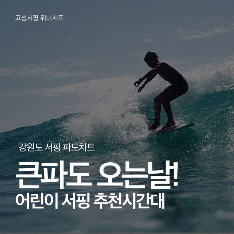 고성서핑 파도차트 주말 큰파도 온다! 어린이 서핑부터 서핑강습까지