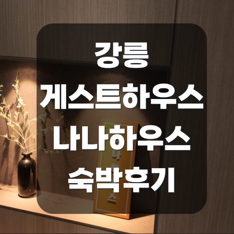 강릉 게스트하우스 나나하우스 후기｜사장님이 직접 데려가는 안반데기 별 투어