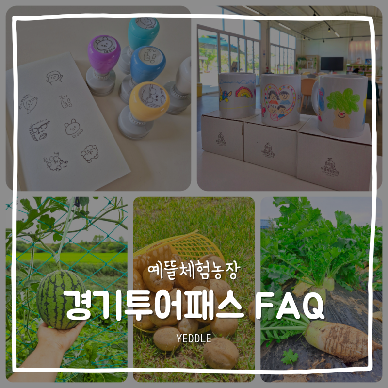 경기투어패스 김포 체험 FAQ 7, 예뜰 예약 전 확인해봐요