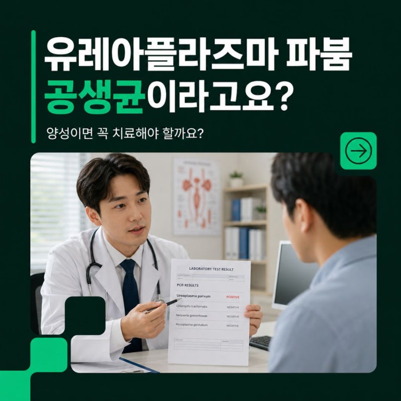 전남 광주 유레아플라즈마 파붐 공생균 양성이면 꼭 치료해야 할까요