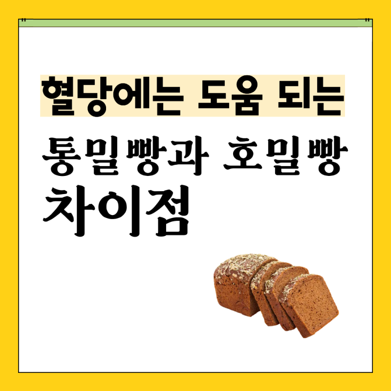 통밀빵 vs 호밀빵 차이점과 고르는 법, 보관 방법 총정리