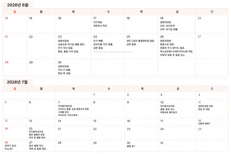 2026년 6월~7월 | 6주5일 계류유산, 싸이토텍정(미소프로스톨) 약물 배출 후 지연 배출, 결국 수....