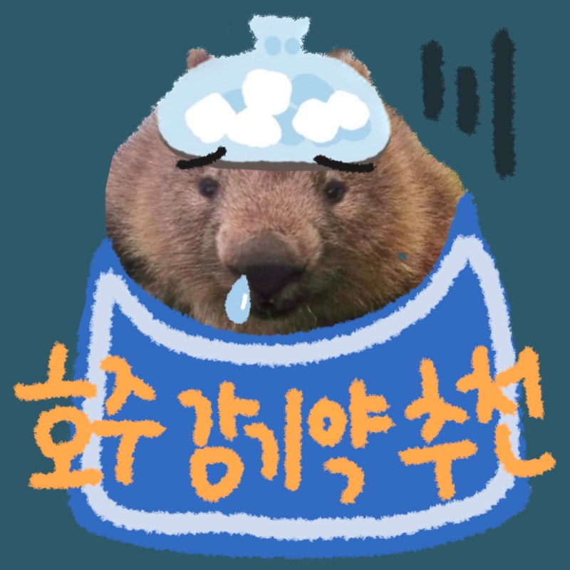 [호주워홀] 호주 감기약 추천 (몸살, 비염, 두통, 기침)