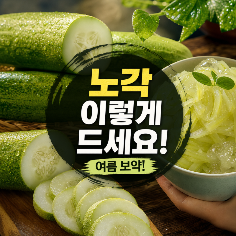 여름철 음식 늙은오이 노각 효능 제대로 활용하기