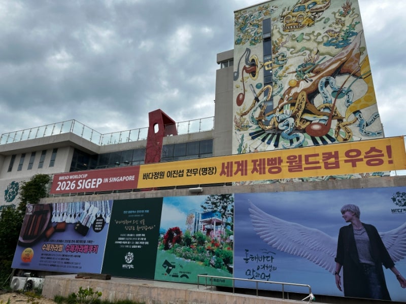바다정원 고성 카페 | 강원도 여행 필수 코스 솔직 후기