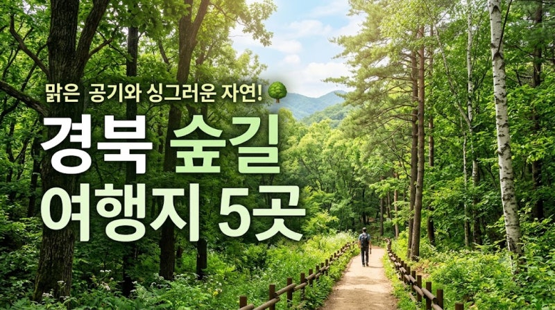 여름 숲으로 경북 숲길 여행지 5곳 추천, 산림욕 좋은 곳 총정리