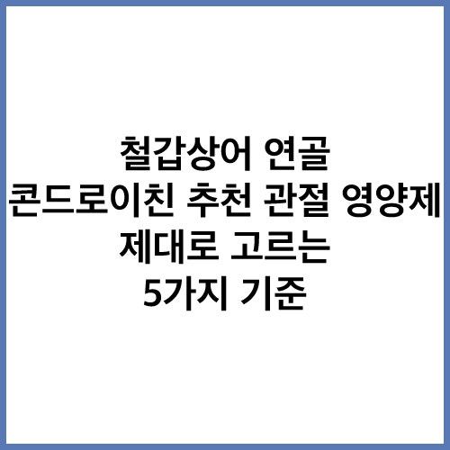 철갑상어 연골 콘드로이친 추천 관절 영양제 제대로 고르는 5가지 기준