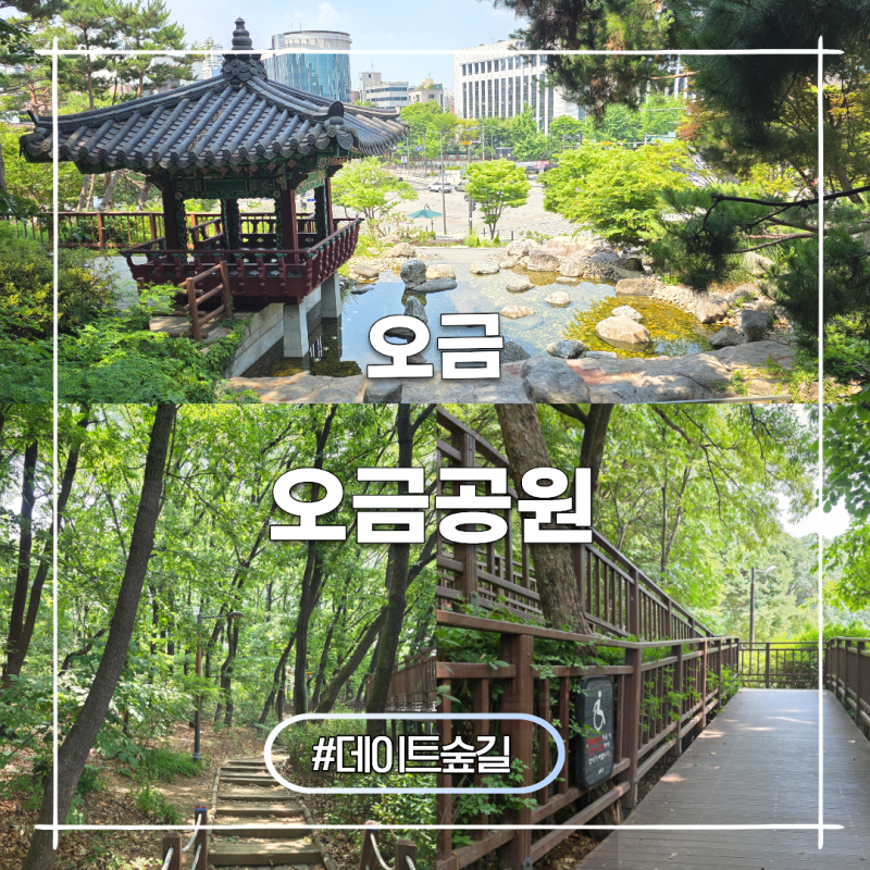 서울 산책하기좋은곳 오금근린공원 송파둘레길 데이트 숲길 후기