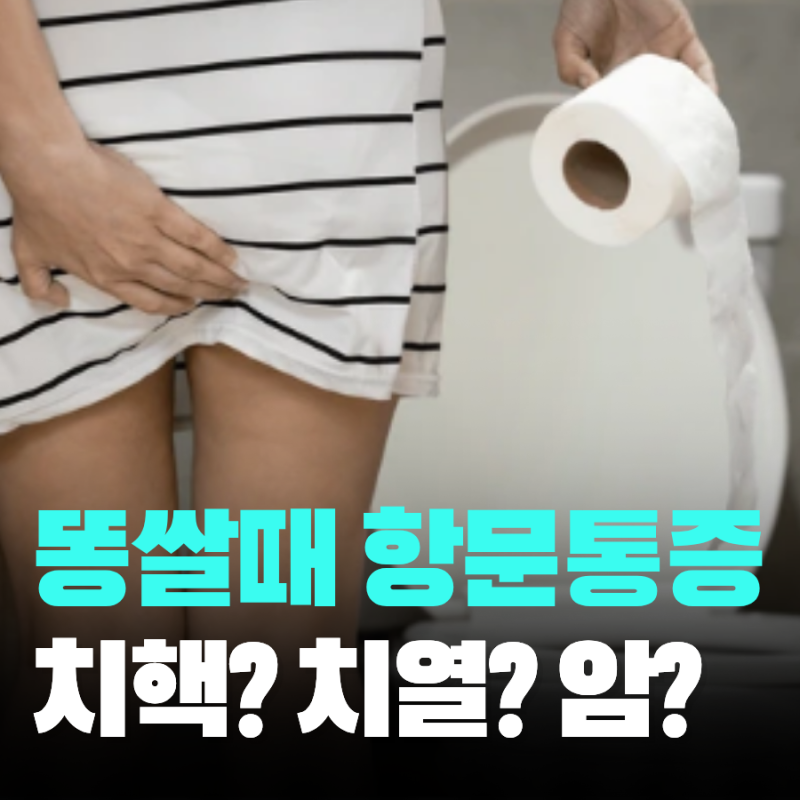똥쌀때 항문 통증 찢어짐 치열 치료 후기