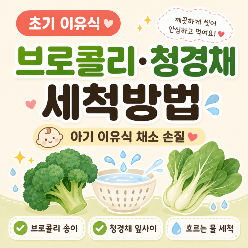 초기 이유식 브로콜리·청경채 세척방법, 아기 이유식 채소 손질할 때 신경 쓴 것들