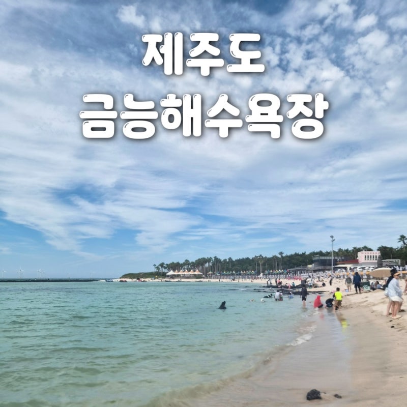 26년 8월 7일 제주도 금능해수욕장 풍랑주의보 입수 금지;;