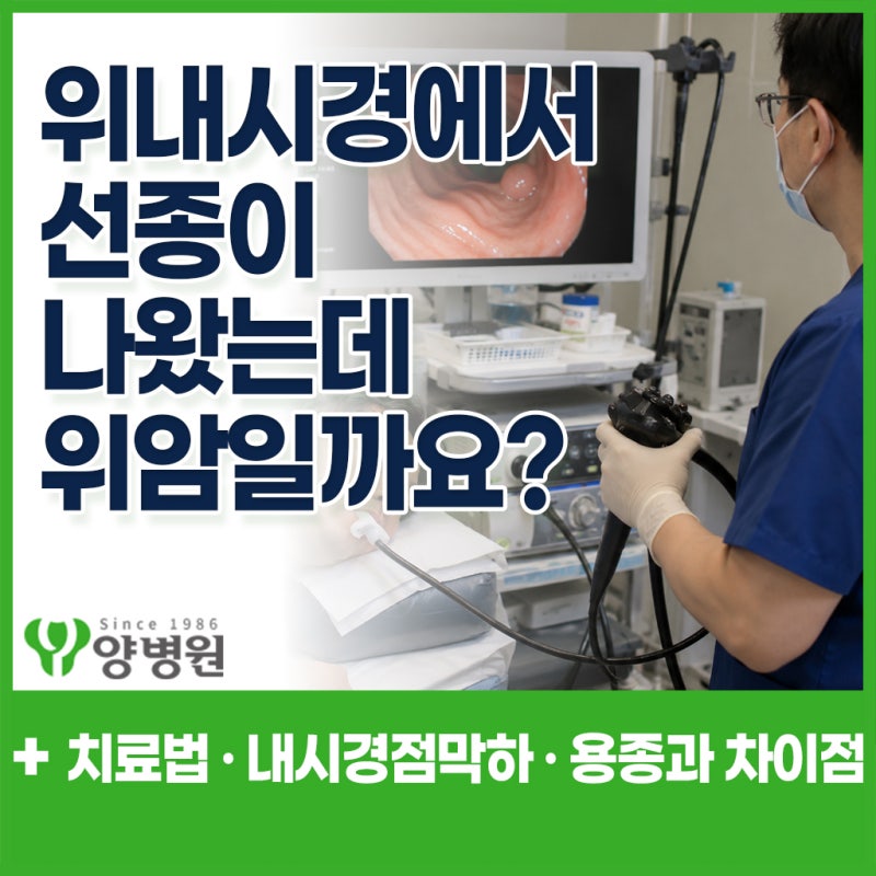 위선종은 위암 전 단계일까요? 위용종 차이·조직검사·ESD 치료까지 총정리 | 강동구 소화기....