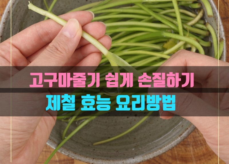 고구마 줄기 손질방법 김치 무침 볶음 만드는 법 삶는시간 효능 제철 칼로리