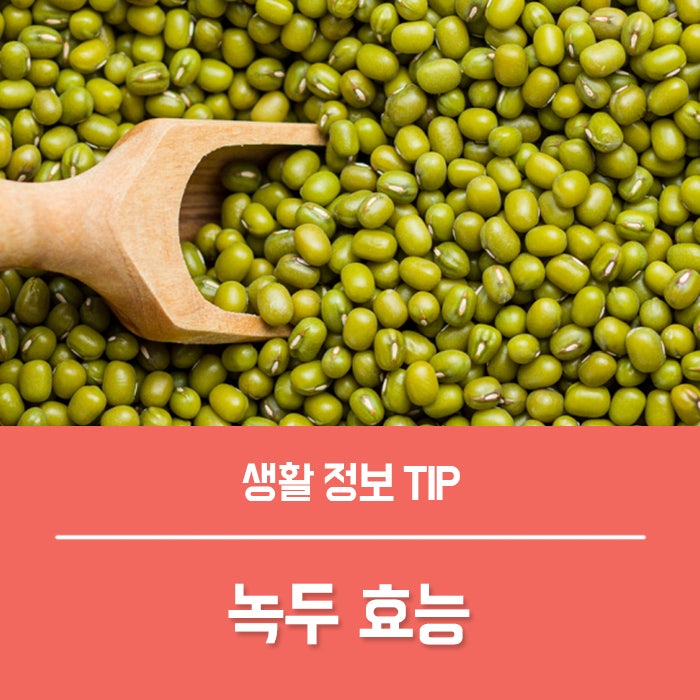 녹두 효능 4가지, 녹두죽 끓이는법 부작용은?