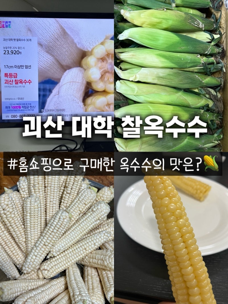 [여름철 별미/제철 식품] 충북 괴산 대학찰옥수수 30개 내돈내산 구입 후기(공영홈쇼핑 농협....