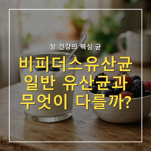 비피더스유산균 vs 일반 유산균 차이 4가지, 제품 고르기 전 확인할 것