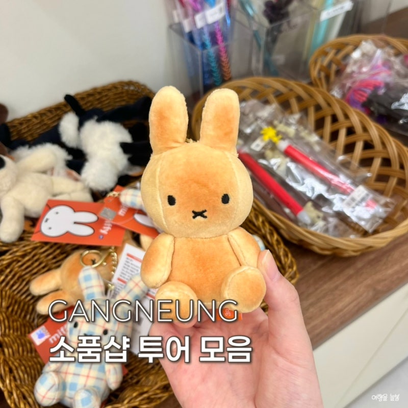 강릉 안목해변 소품샵 추천 BEST 4, 기념품 사기 좋은 곳