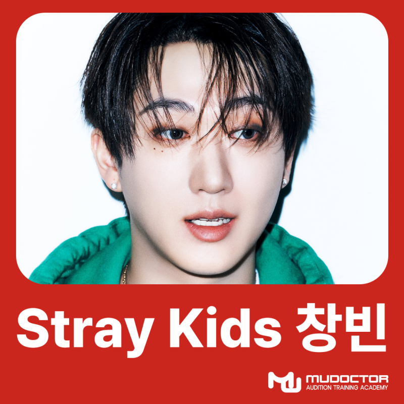 뮤닥터 출신 아이돌ㅣStray Kids(스트레이 키즈) 창빈 - THIS & THAT 컴백